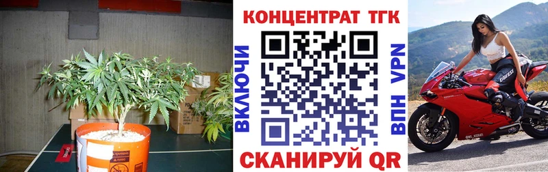ТГК концентрат  Новошахтинск 